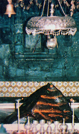 Kedar Lingam